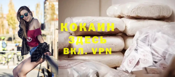 apvp Алексин