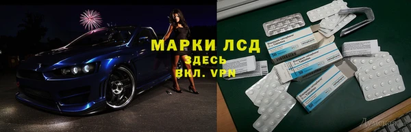 сатива Алзамай