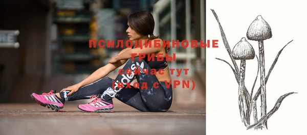 apvp Алексин