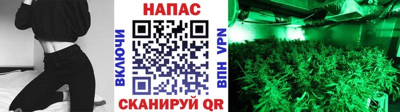 продажа наркотиков  Покров  Конопля LSD WEED 